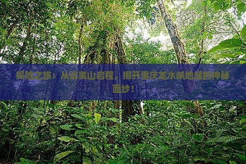 探险之旅：从武夷山启程，揭开重庆龙水峡地缝的神秘面纱！