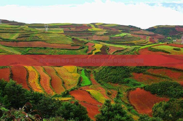 库尔勒游客专享：重庆观景台旅游景点专题旅游团启程