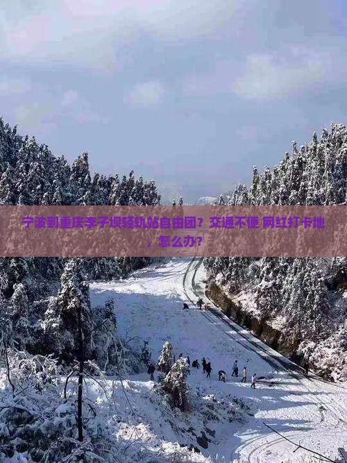 宁波到重庆李子坝轻轨站自由团？交通不便+网红打卡地，怎么办？