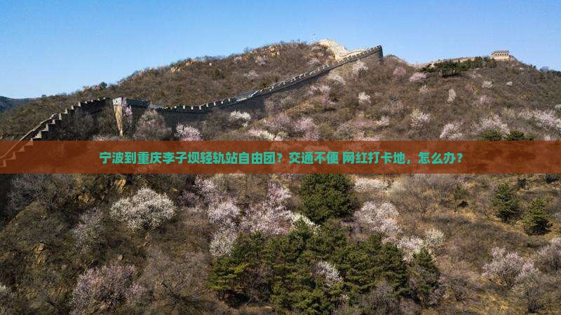 宁波到重庆李子坝轻轨站自由团？交通不便+网红打卡地，怎么办？