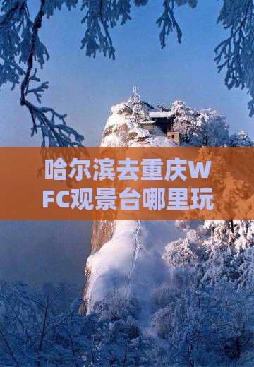 哈尔滨去重庆WFC观景台哪里玩好去处指南