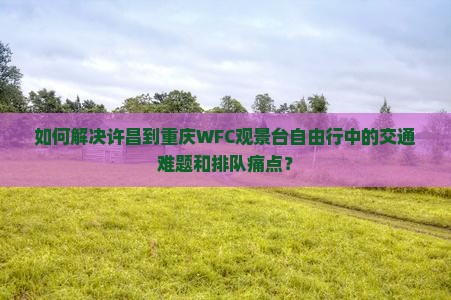 如何解决许昌到重庆WFC观景台自由行中的交通难题和排队痛点？