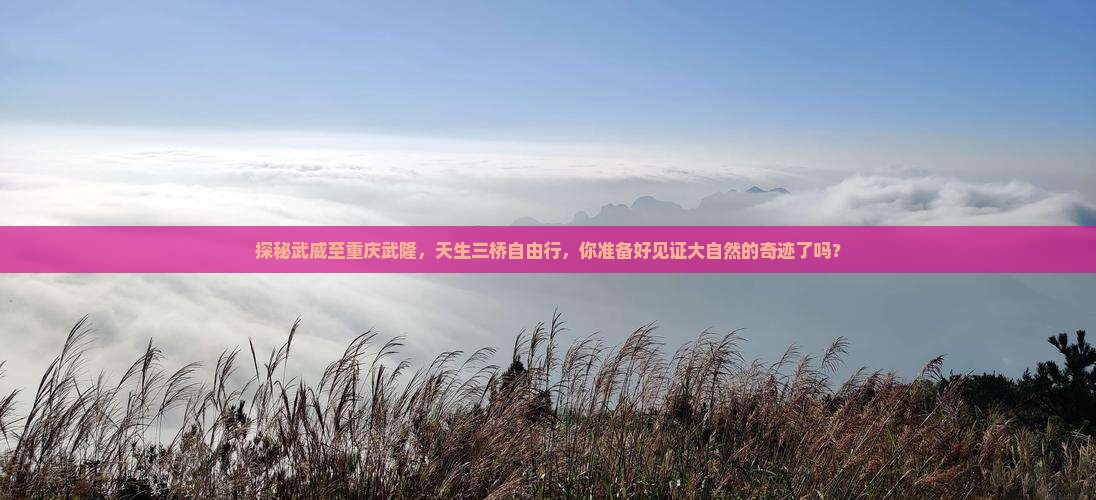 探秘武威至重庆武隆，天生三桥自由行，你准备好见证大自然的奇迹了吗？