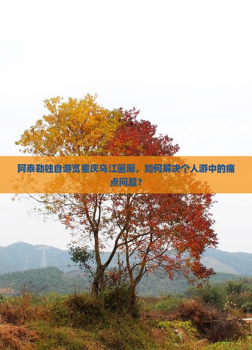 阿泰勒独自游览重庆乌江画廊，如何解决个人游中的痛点问题？