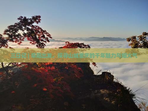 三日记 | 阜阳出发，探寻山城重庆的千年魅力与烟火气