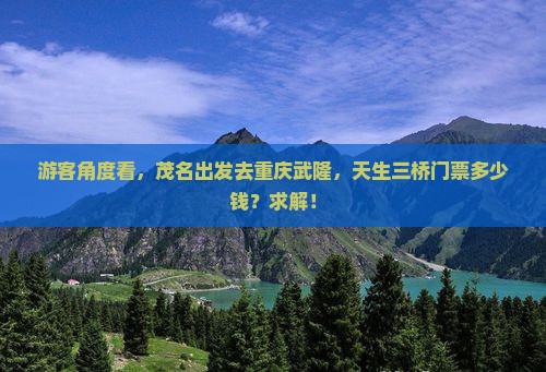 游客角度看，茂名出发去重庆武隆，天生三桥门票多少钱？求解！