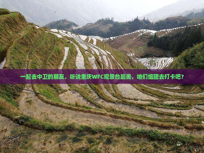 一起去中卫的朋友，听说重庆WFC观景台超美，咱们组团去打卡吧？
