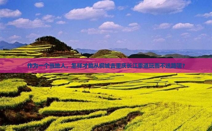 作为一个当地人，怎样才能从桐城去重庆长江索道玩而不迷路呢？