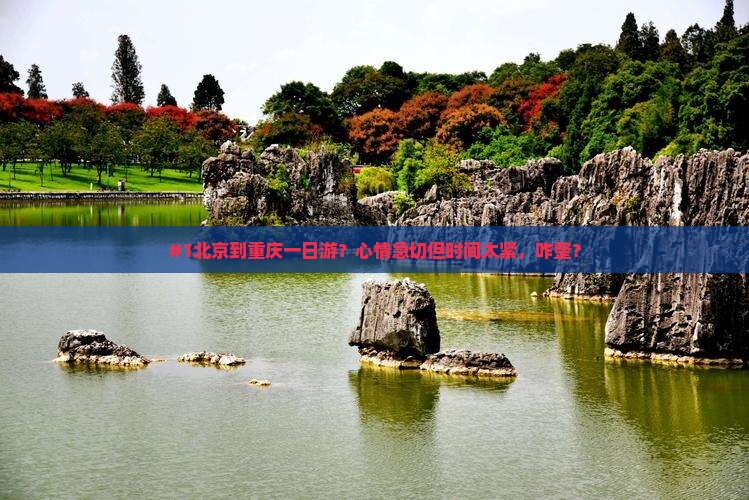 #1北京到重庆一日游？心情急切但时间太紧，咋整？
