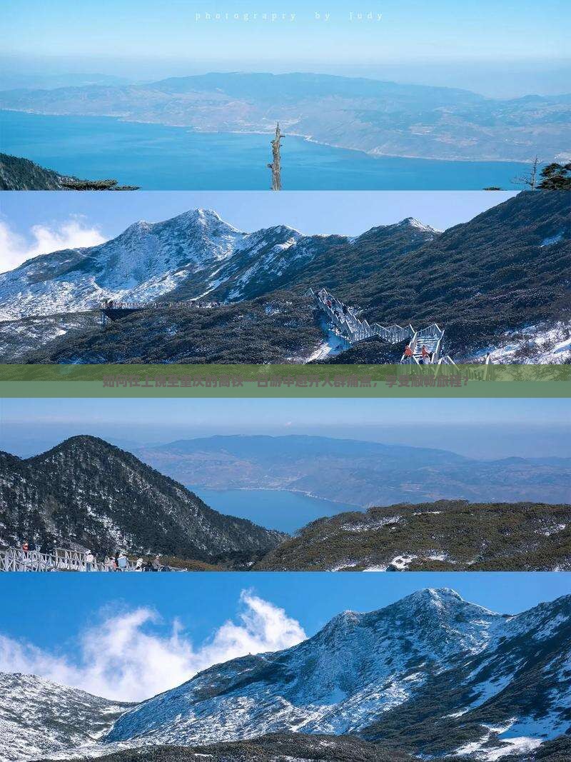 如何在上饶至重庆的高铁一日游中避开人群痛点，享受顺畅旅程？