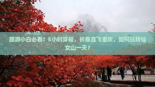 旅游小白必看！5小时穿梭，长春直飞重庆，如何玩转仙女山一天？
