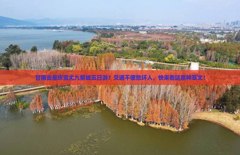 甘南去重庆蚩尤九黎城五日游？交通不便愁坏人，快来看这条种草文！