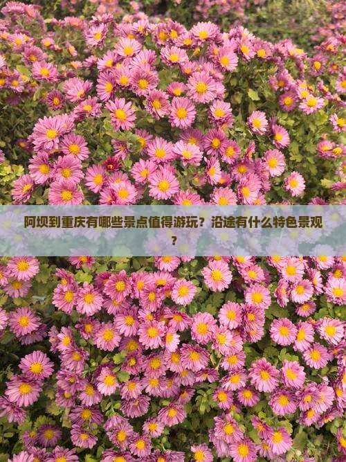阿坝到重庆有哪些景点值得游玩？沿途有什么特色景观？