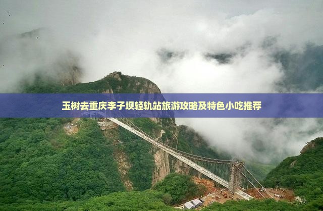 玉树去重庆李子坝轻轨站旅游攻略及特色小吃推荐