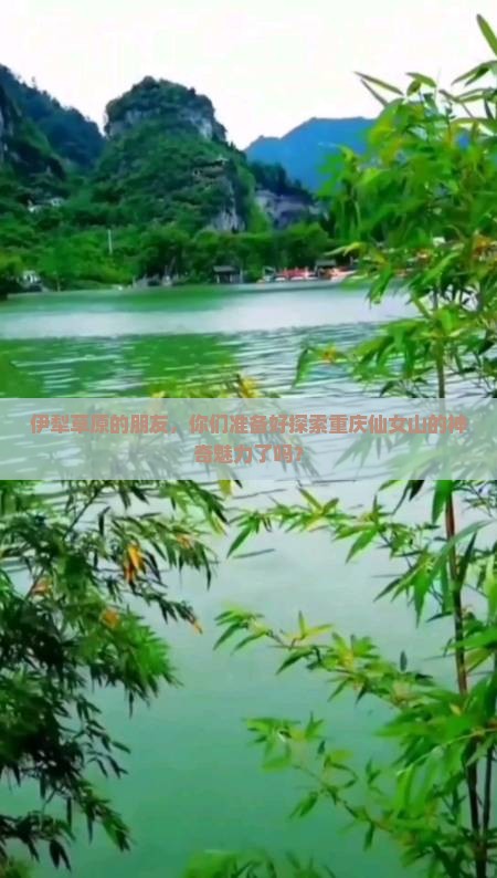 伊犁草原的朋友，你们准备好探索重庆仙女山的神奇魅力了吗？