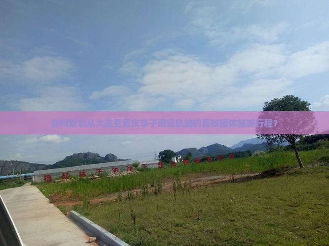 如何规划从大连至重庆李子坝轻轨站的高效团体旅游行程？