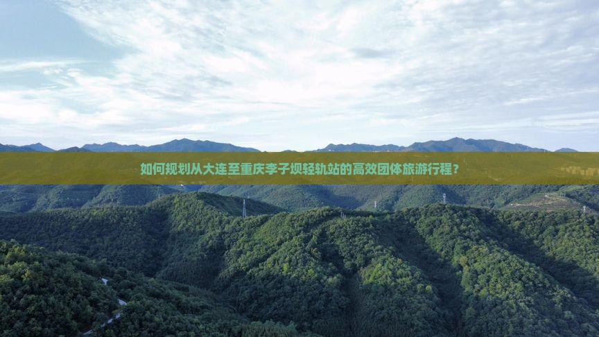 如何规划从大连至重庆李子坝轻轨站的高效团体旅游行程？