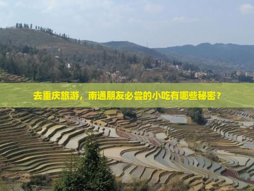 去重庆旅游，南通朋友必尝的小吃有哪些秘密？