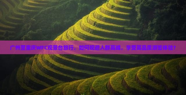 广州至重庆WFC观景台旅行，如何规避人群高峰，享受高品质游览体验？