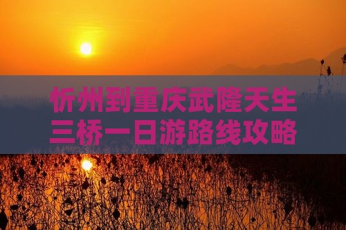 忻州到重庆武隆天生三桥一日游路线攻略
