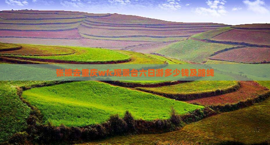 张掖去重庆wfc观景台六日游