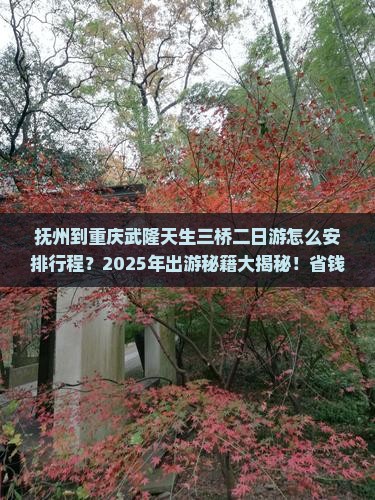 抚州到重庆武隆天生三桥二日游