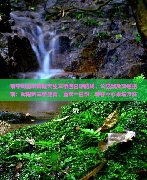 南平到重庆武隆天生三桥四日游