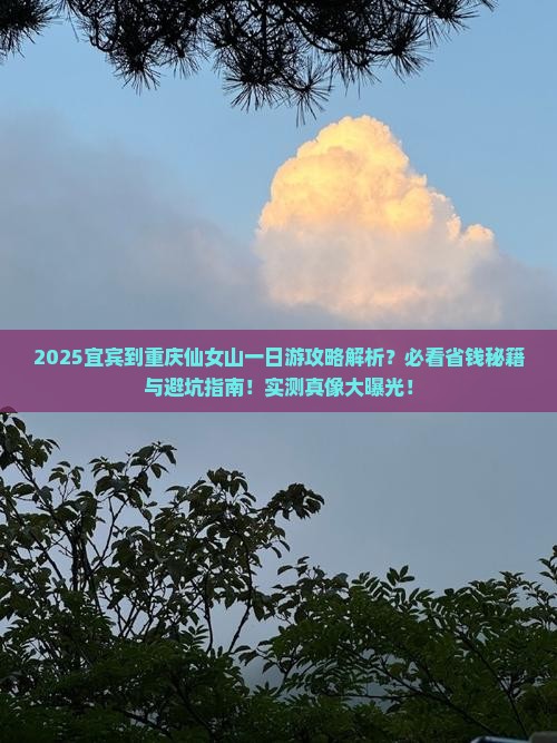 宜宾到重庆仙女山一日