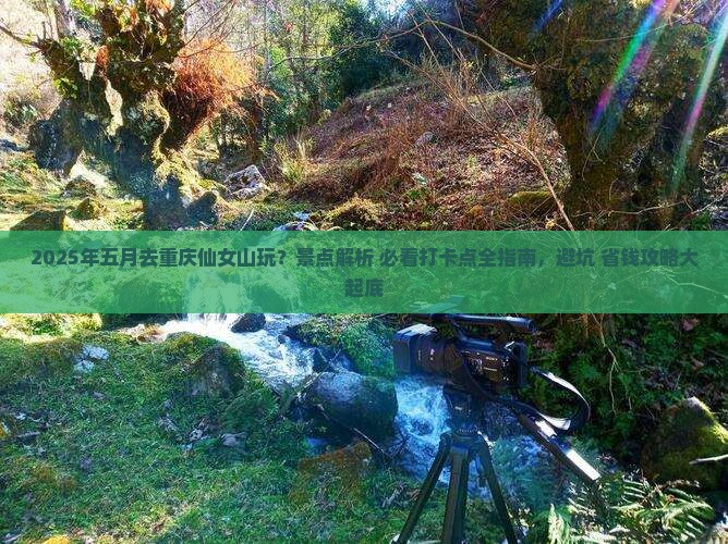 五月去重庆仙女山哪里玩
