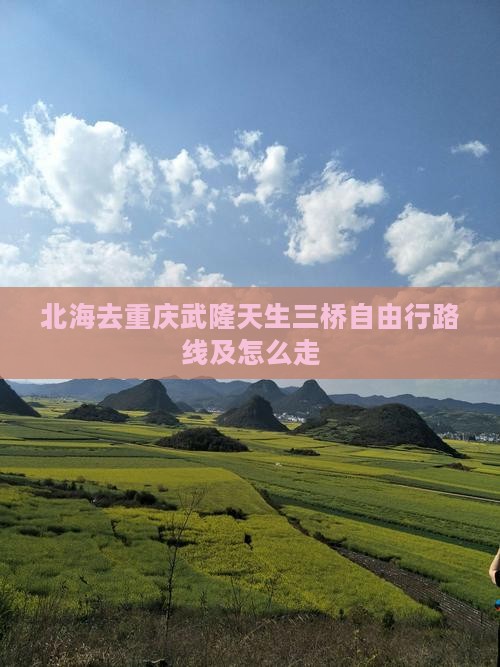 北海去重庆武隆天生三桥自由行