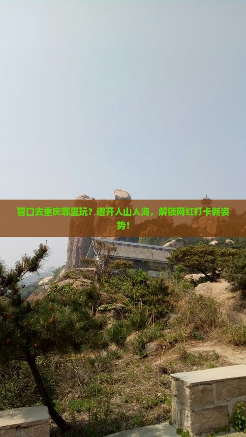 营口去重庆哪里玩