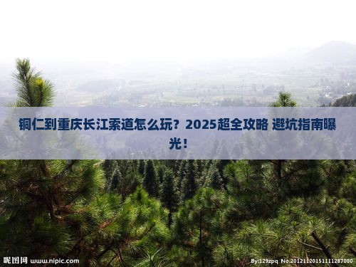 铜仁到重庆长江索道旅行社