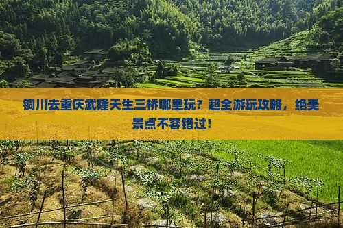 铜川去重庆武隆天生三桥哪里玩