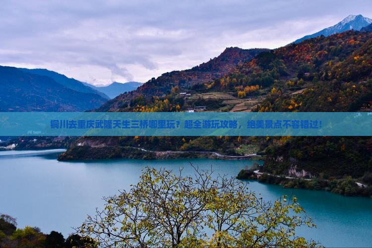 铜川去重庆武隆天生三桥哪里玩