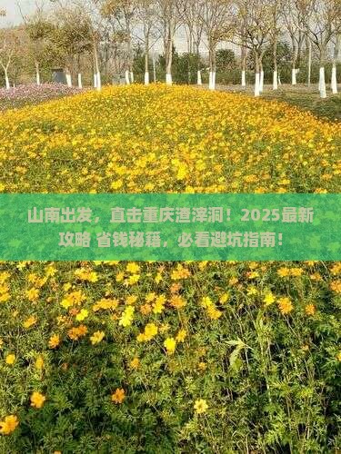 山南去重庆渣滓洞旅行社