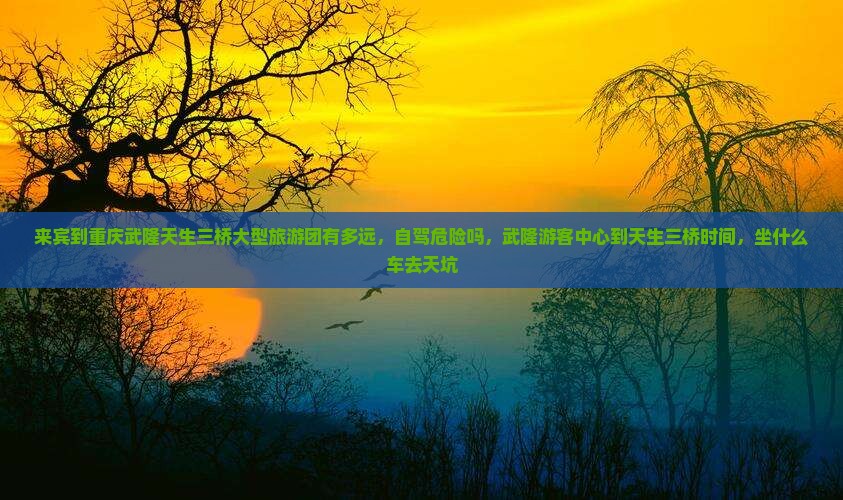 来宾到重庆武隆天生三桥大型旅游团