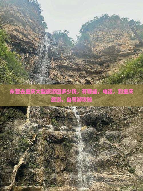 东营去重庆大型旅游团