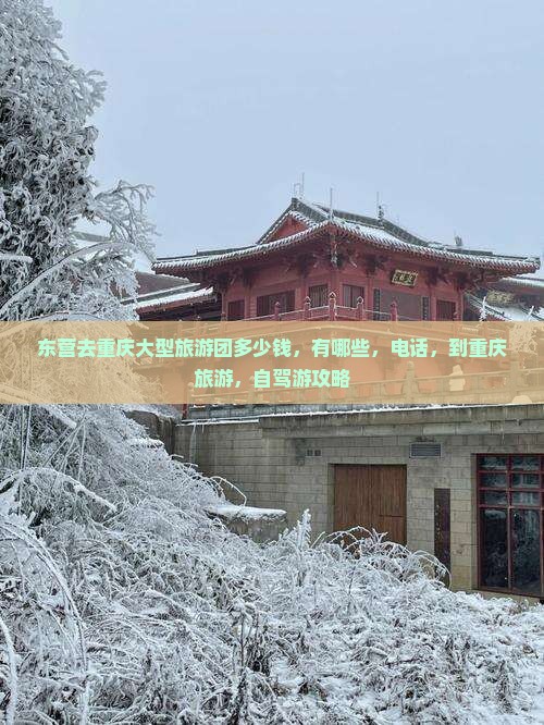 东营去重庆大型旅游团