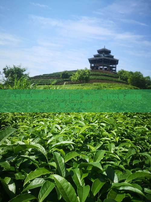 乌兰察布到重庆仙女山自由团
