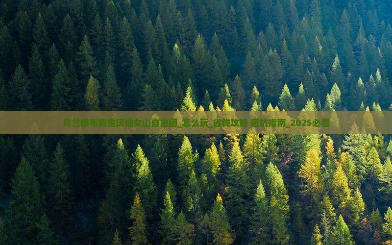 乌兰察布到重庆仙女山自由团