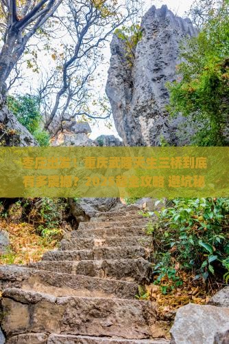 枣庄到重庆武隆天生三桥旅游