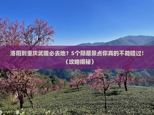 洛阳到重庆武隆必去地