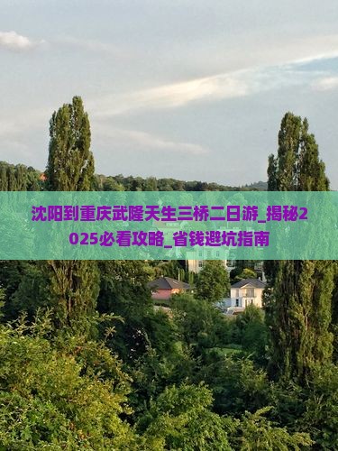 沈阳到重庆武隆天生三桥二日游