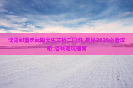 沈阳到重庆武隆天生三桥二日游