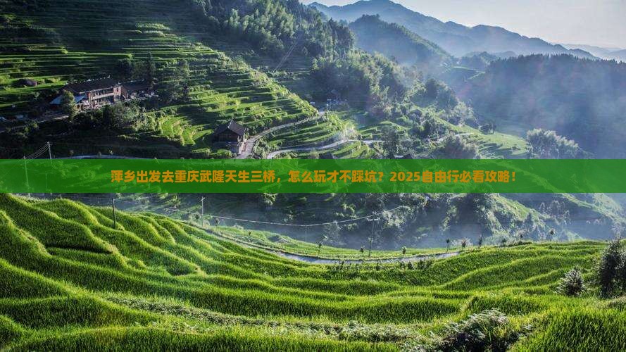 萍乡去重庆武隆天生三桥自由行