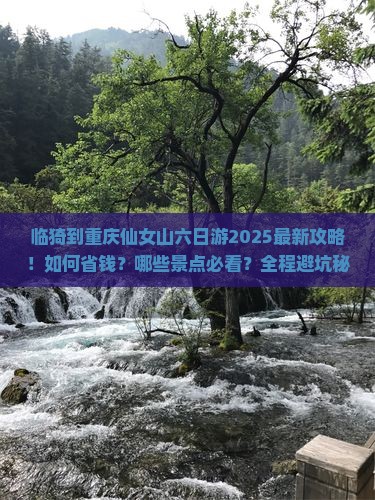临猗到重庆仙女山六日游 临猗到重庆仙女山六日游