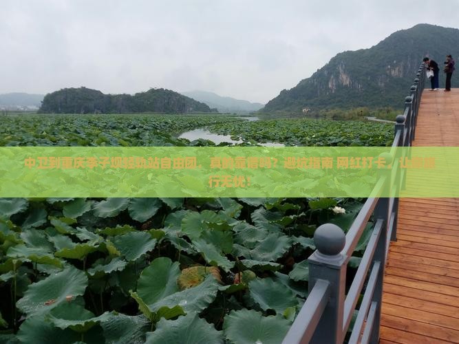 中卫到重庆李子坝轻轨站自由团