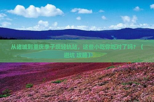 诸城到重庆李子坝轻轨站旅游小吃