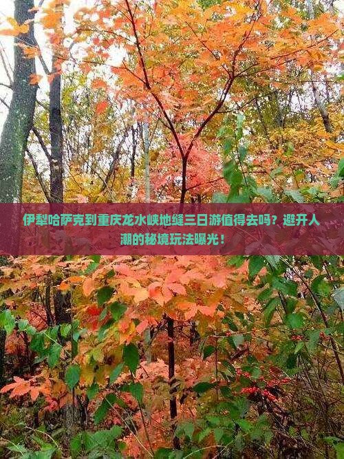 伊犁哈萨克到重庆龙水峡地缝三日游