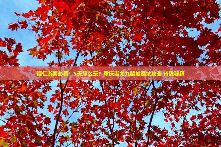 铜仁到重庆蚩尤九黎城五日游